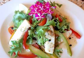 NARIES RECIPE – SPICY CALAMARI SALAD